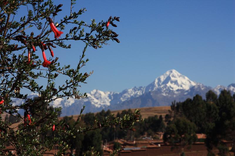 342-Chinchero,10 luglio 2013.JPG